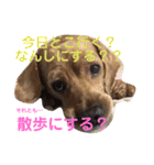 はじめまして、テンです（個別スタンプ：3）