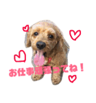 はじめまして、テンです（個別スタンプ：7）