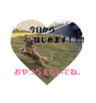 はじめまして、テンです（個別スタンプ：10）