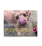 はじめまして、テンです（個別スタンプ：11）