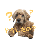 はじめまして、テンです（個別スタンプ：23）