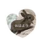 mojoスタンプ（個別スタンプ：2）