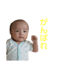 ゆいとが使える（個別スタンプ：5）