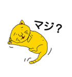 cat stamps（個別スタンプ：6）
