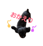 ココとセイラ（個別スタンプ：6）