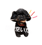 ココとセイラ（個別スタンプ：12）