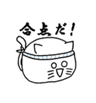 りきっどねこ（個別スタンプ：28）