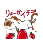 くだものねこさん（個別スタンプ：1）