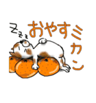くだものねこさん（個別スタンプ：6）