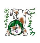 くだものねこさん（個別スタンプ：7）
