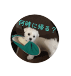 ルルな毎日（個別スタンプ：3）