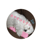 ルルな毎日（個別スタンプ：4）