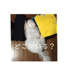 ルルな毎日（個別スタンプ：10）