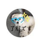 ルルな毎日（個別スタンプ：15）