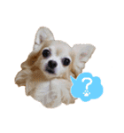 チャイ時々モカ。（個別スタンプ：2）
