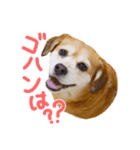 チャイ時々モカ。（個別スタンプ：5）