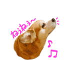 チャイ時々モカ。（個別スタンプ：7）