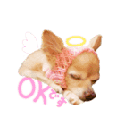 チャイ時々モカ。（個別スタンプ：14）