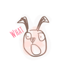 トクのワンちゃん（個別スタンプ：5）