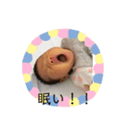 福ちゃんの子供達（個別スタンプ：5）