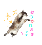 にゃんこのチビくん（個別スタンプ：7）