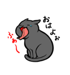 にゃんこステッカー（黒猫）（個別スタンプ：13）