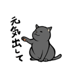 にゃんこステッカー（黒猫）（個別スタンプ：16）