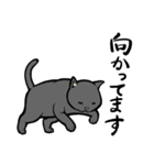 にゃんこステッカー（黒猫）（個別スタンプ：25）