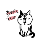 猫のメイちゃんのスタンプ（個別スタンプ：16）