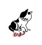 猫のメイちゃんのスタンプ（個別スタンプ：22）