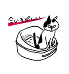 猫のメイちゃんのスタンプ（個別スタンプ：25）