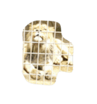 いろんな動物あつめていこう（個別スタンプ：5）