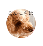 みるくデカ文字スタンプ＊（個別スタンプ：2）
