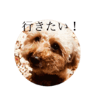 みるくデカ文字スタンプ＊（個別スタンプ：5）