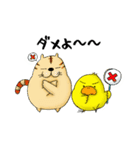 毎日使えてなんか笑える あにまるふれんず（個別スタンプ：23）