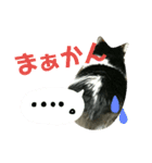 久田家の猫 "ボブ" のスタンプ*（個別スタンプ：35）