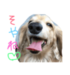 ゆきの日常生活7（個別スタンプ：2）