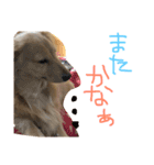 ゆきの日常生活7（個別スタンプ：5）