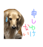 ゆきの日常生活7（個別スタンプ：6）