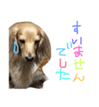 ゆきの日常生活7（個別スタンプ：11）