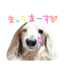 ゆきの日常生活7（個別スタンプ：12）