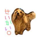 ゆきの日常生活7（個別スタンプ：13）