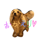 ゆきの日常生活7（個別スタンプ：14）