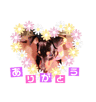 かわいいワンコ達（個別スタンプ：4）