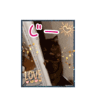 うちのにゃんこちゃん達（個別スタンプ：20）