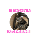 我が家の えだまめ先生 スタンプ 2（個別スタンプ：1）