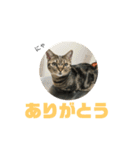 我が家の えだまめ先生 スタンプ 2（個別スタンプ：5）