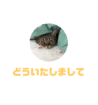 我が家の えだまめ先生 スタンプ 2（個別スタンプ：6）