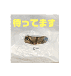 我が家の えだまめ先生 スタンプ 2（個別スタンプ：19）