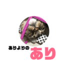 我が家の えだまめ先生 スタンプ 2（個別スタンプ：25）